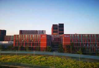 上海焦油压榨泵哪家好