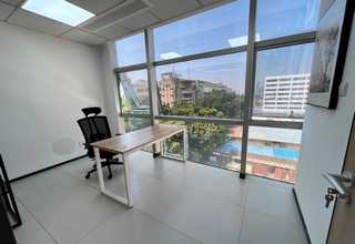 南京各区专业植物出租公司