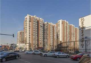 广东管装和袋装芯片烧录